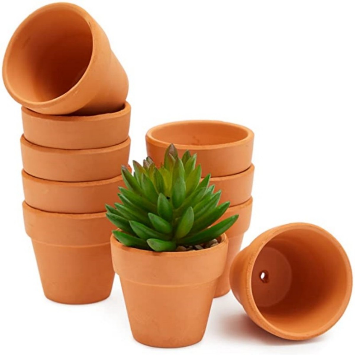 Cactus Mix Pot - 16 Uds. Macetas de cabaña de