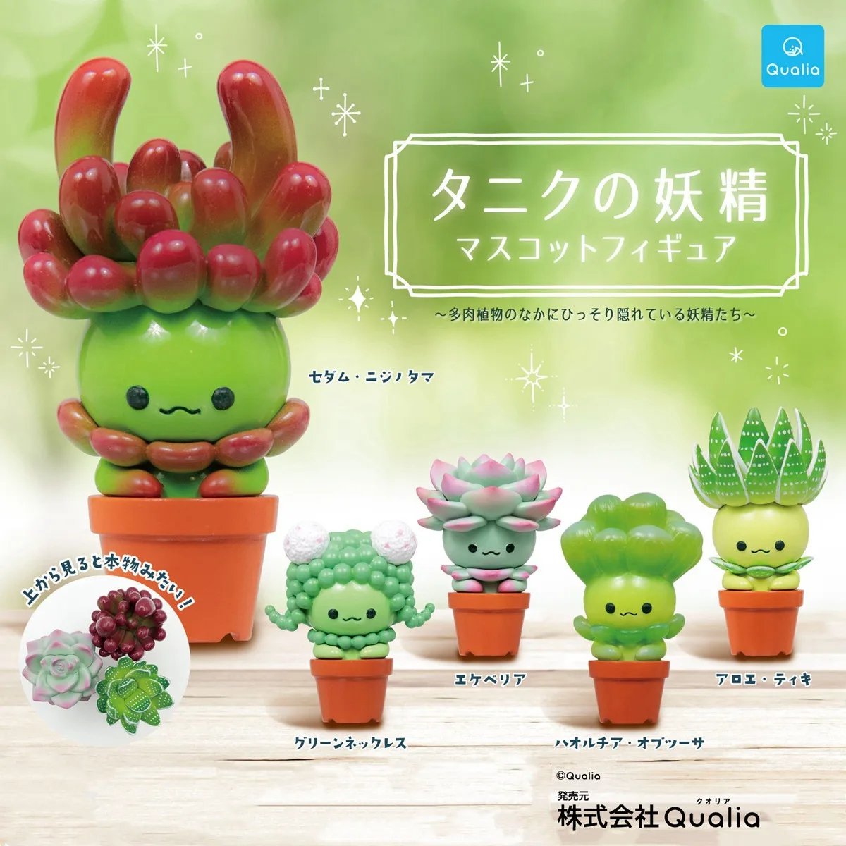 Cactus Mix Pot - Figura Original QUALIA Kawaii Gashapon, Lindas
