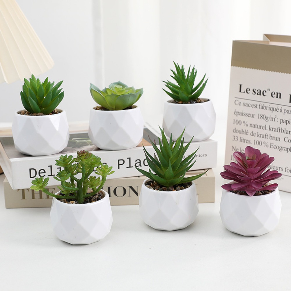 Cactus Mix Pot - Plantas Artificiales de Simulación, Cactus Suculentos
