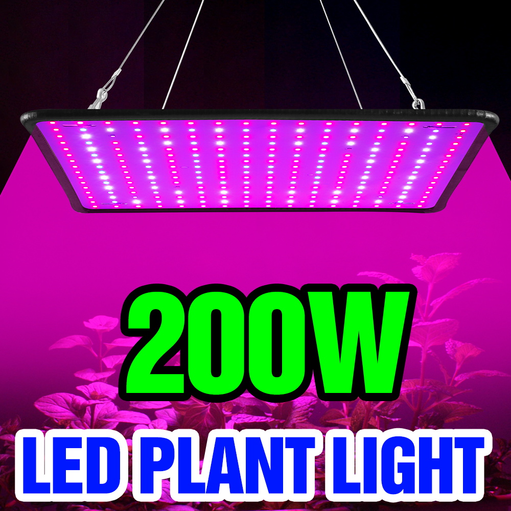 Cactus Mix Pot - Lámpara LED Quantum Board de 200W