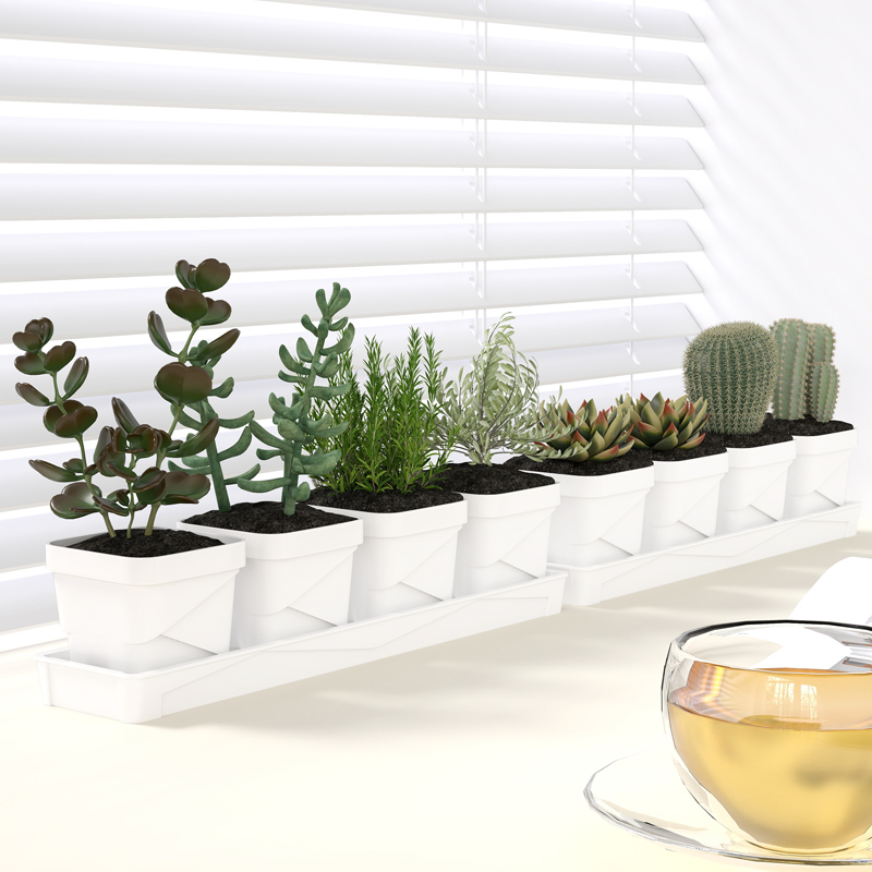 Cactus Mix Pot - Maceta nórdica minimalista para suculentas con