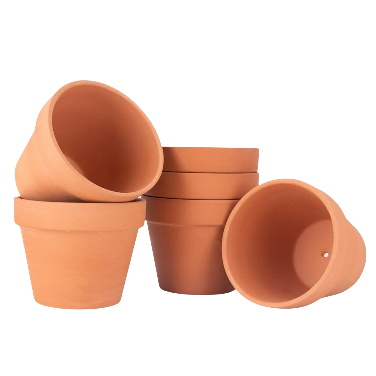 Macetas de terracota de 4 pulg - Cactus Mix Pot reseña y precio