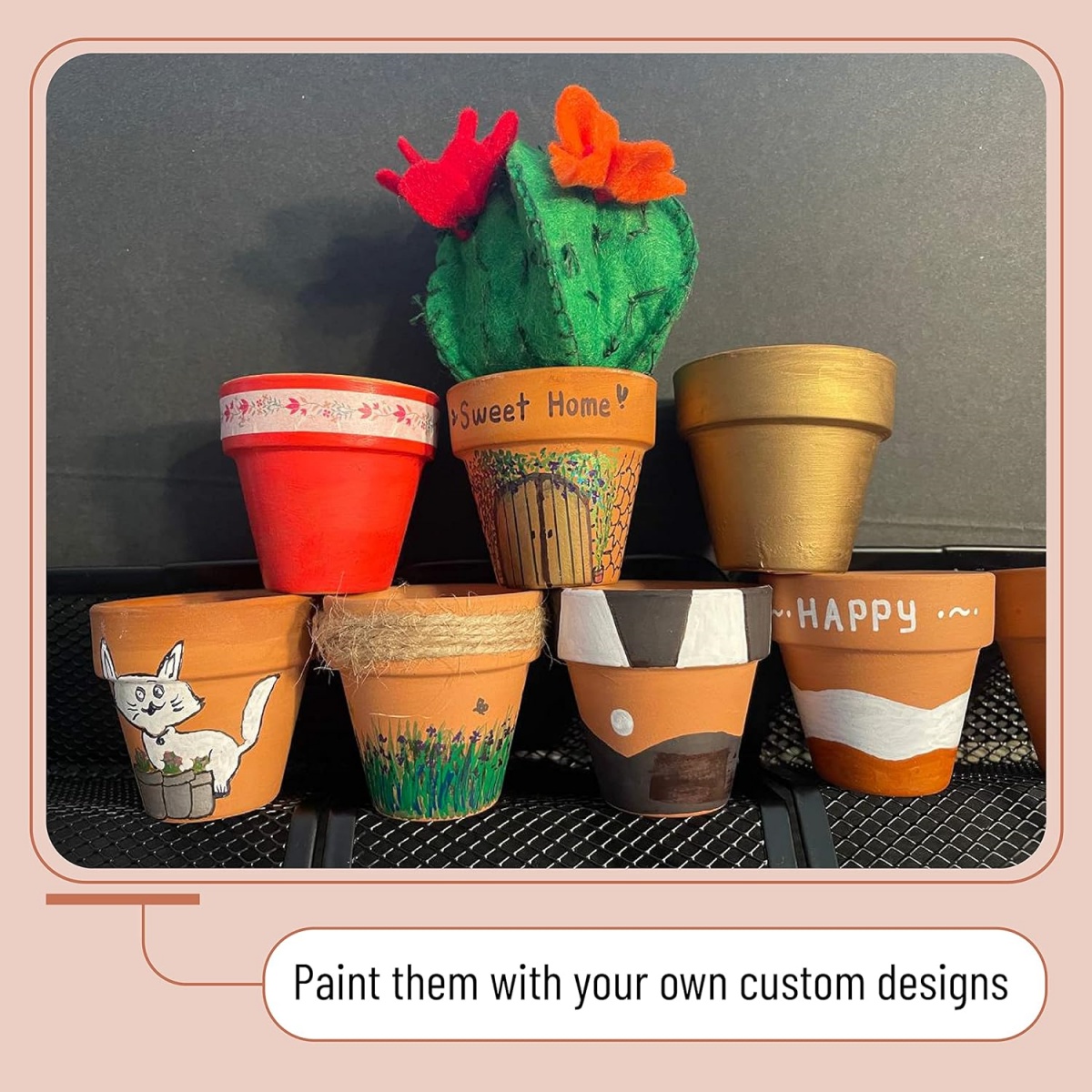 Macetas de terracota de 4 pulg - Cactus Mix Pot reseña y precio