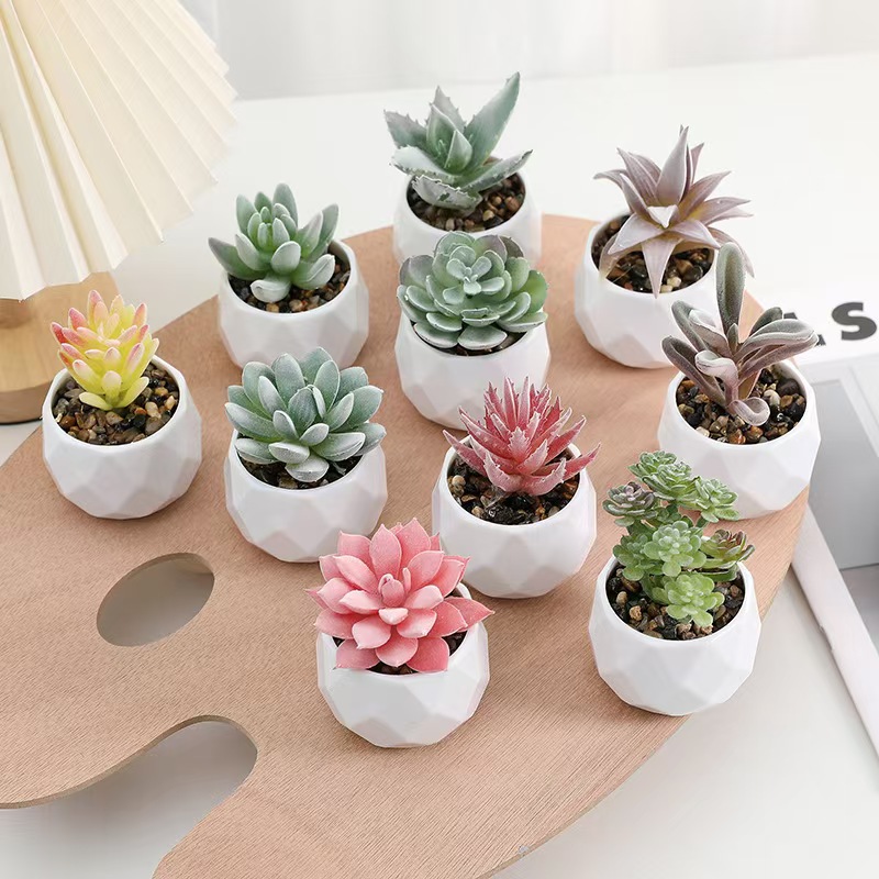 Mini plantas artificiales de s - Cactus Mix Pot reseña y precio