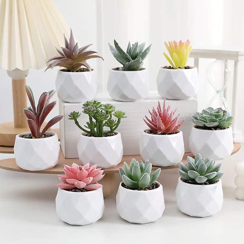 Mini plantas artificiales de s - Cactus Mix Pot reseña y precio