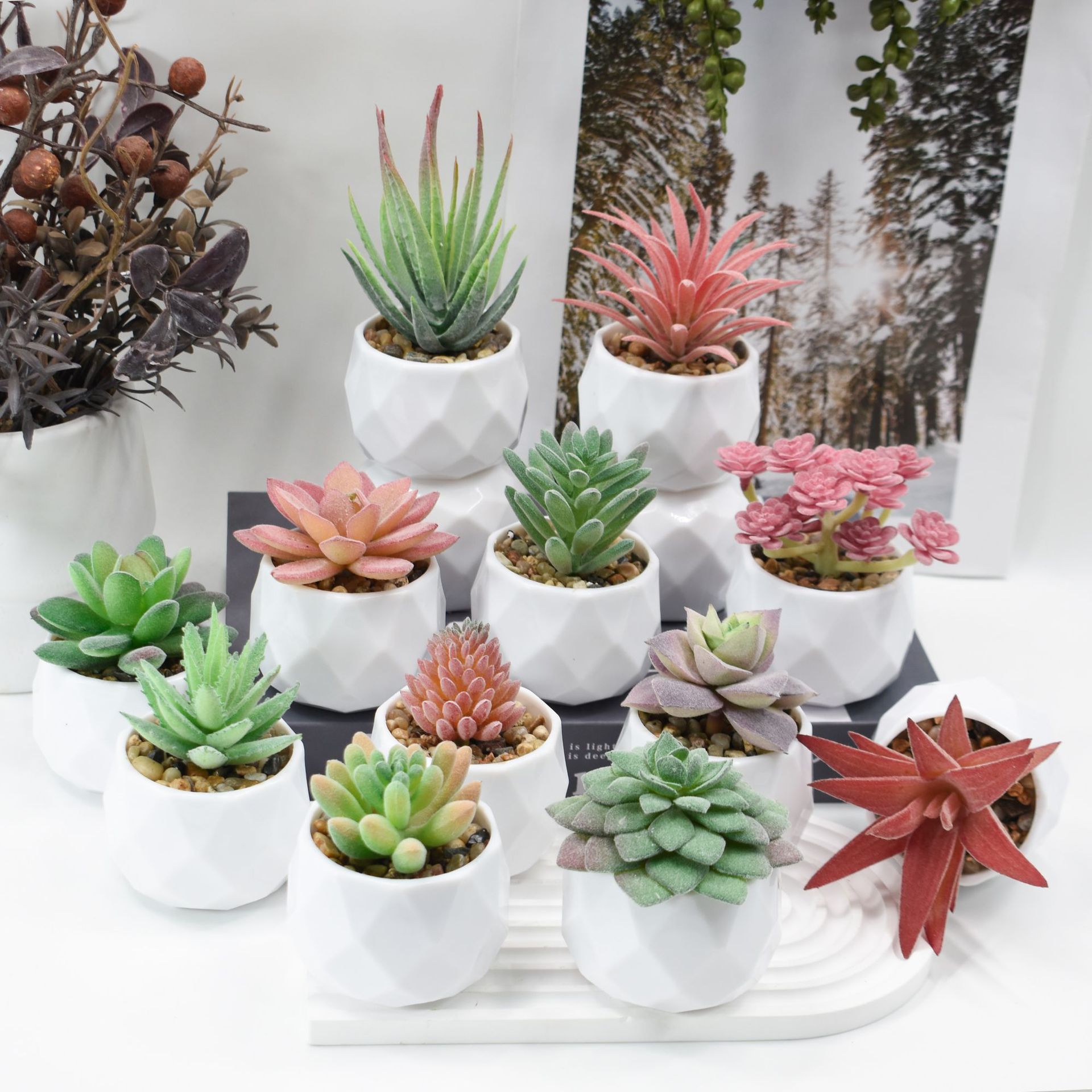 Mini plantas artificiales de s - Cactus Mix Pot reseña y precio