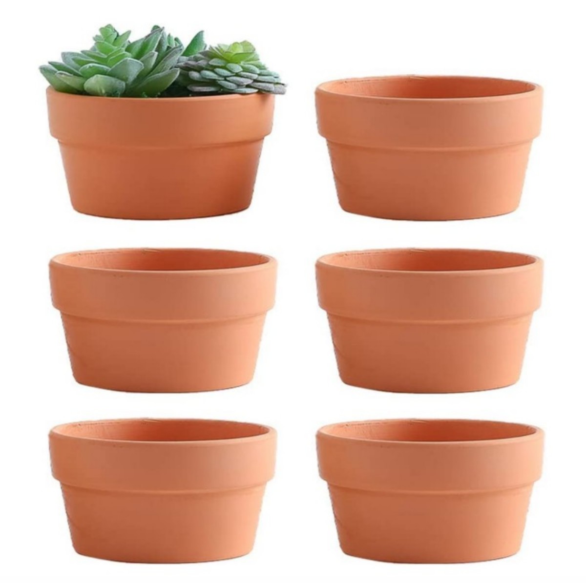 6 uds macetas de terracota Bul - Cactus Mix Pot reseña y precio