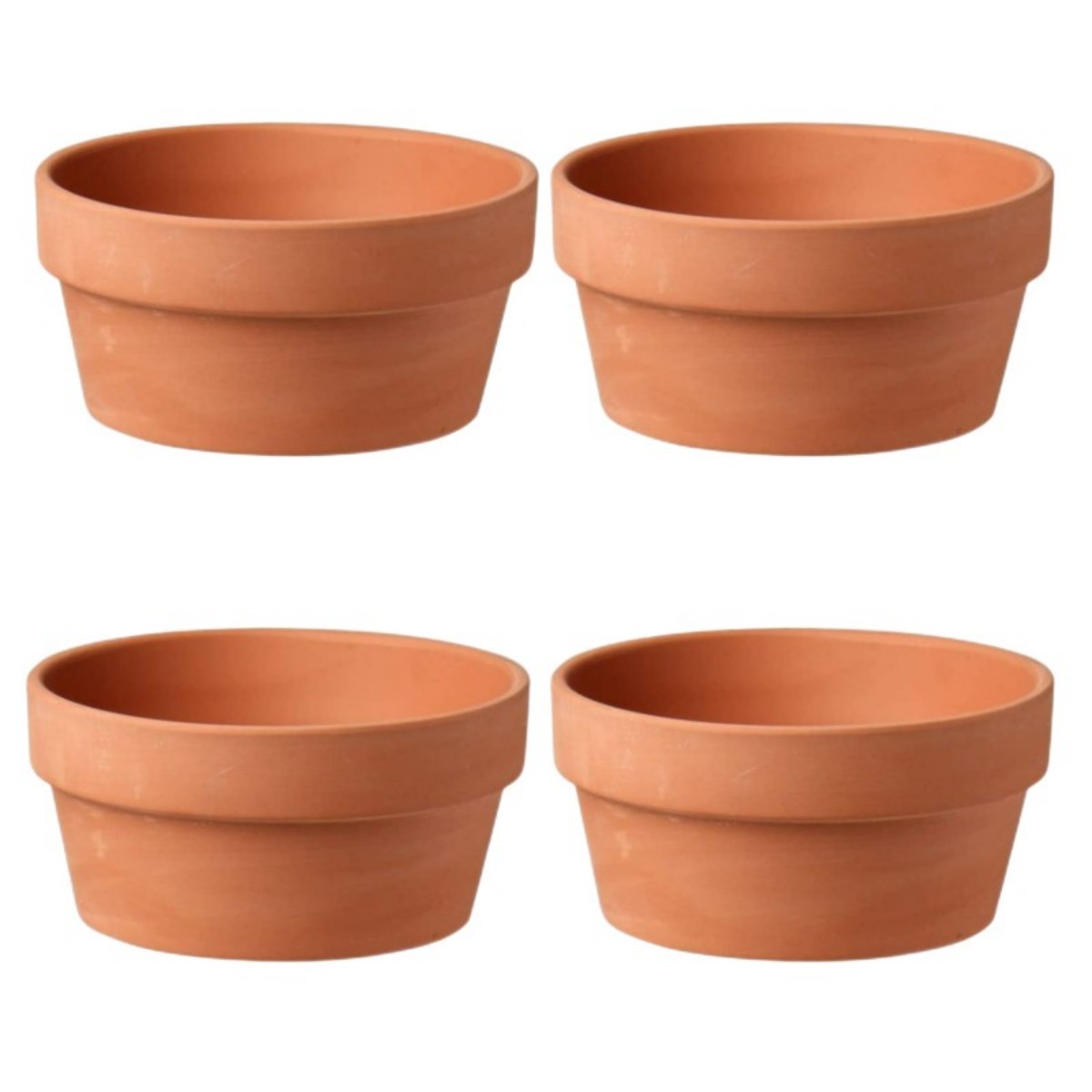 6 uds macetas de terracota Bul - Cactus Mix Pot reseña y precio