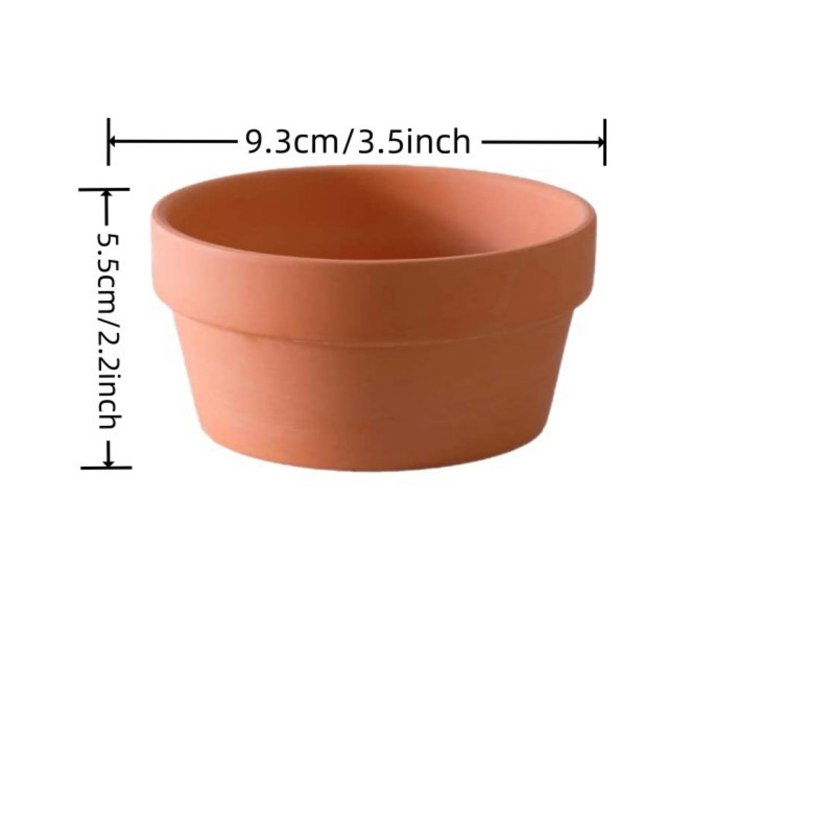 6 uds macetas de terracota Bul - Cactus Mix Pot reseña y precio