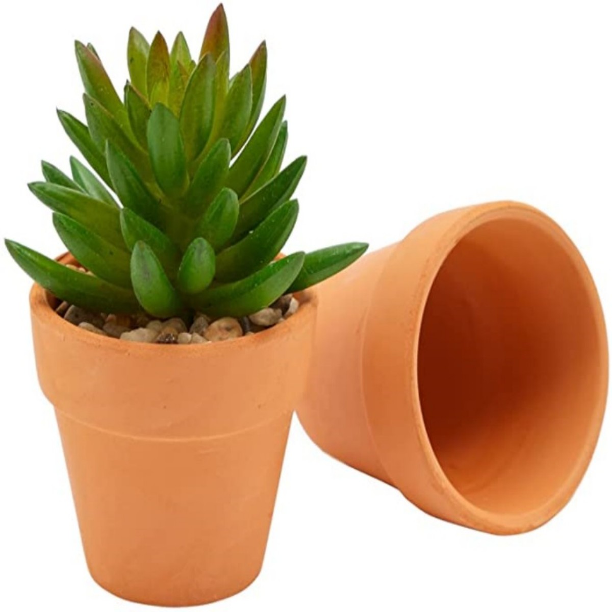 16 Uds. Macetas de cabaña de 1 - Cactus Mix Pot reseña y precio