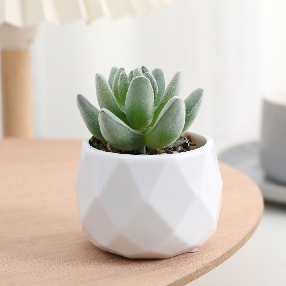 Plantas Artificiales de Simula - Cactus Mix Pot reseña y precio
