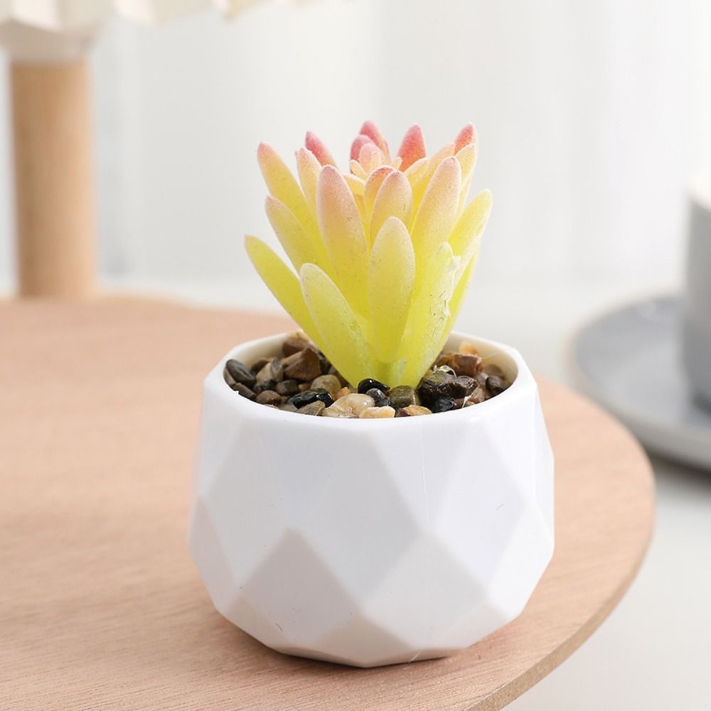 Plantas Artificiales de Simula - Cactus Mix Pot reseña y precio