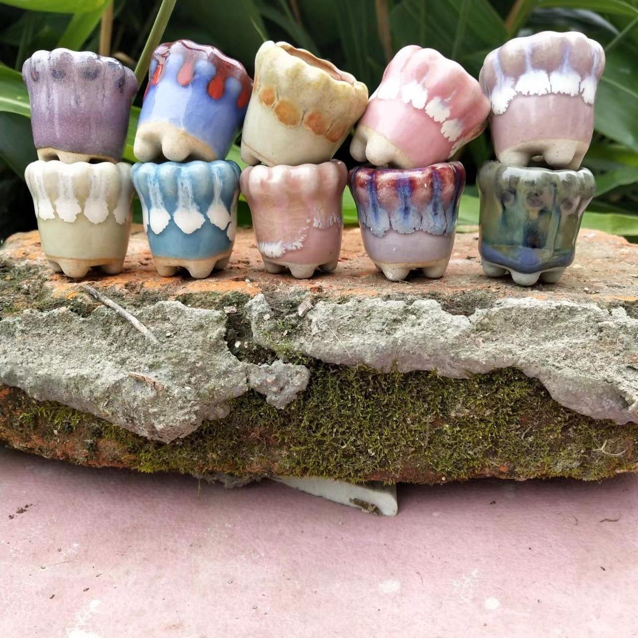 Mini maceta de cerámica de 10  - Cactus Mix Pot reseña y precio