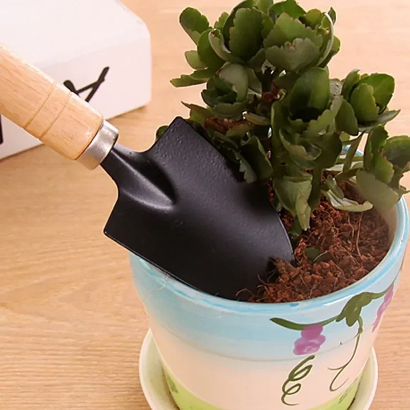 3 unids/set Mini juego de herr - Cactus Mix Pot reseña y precio