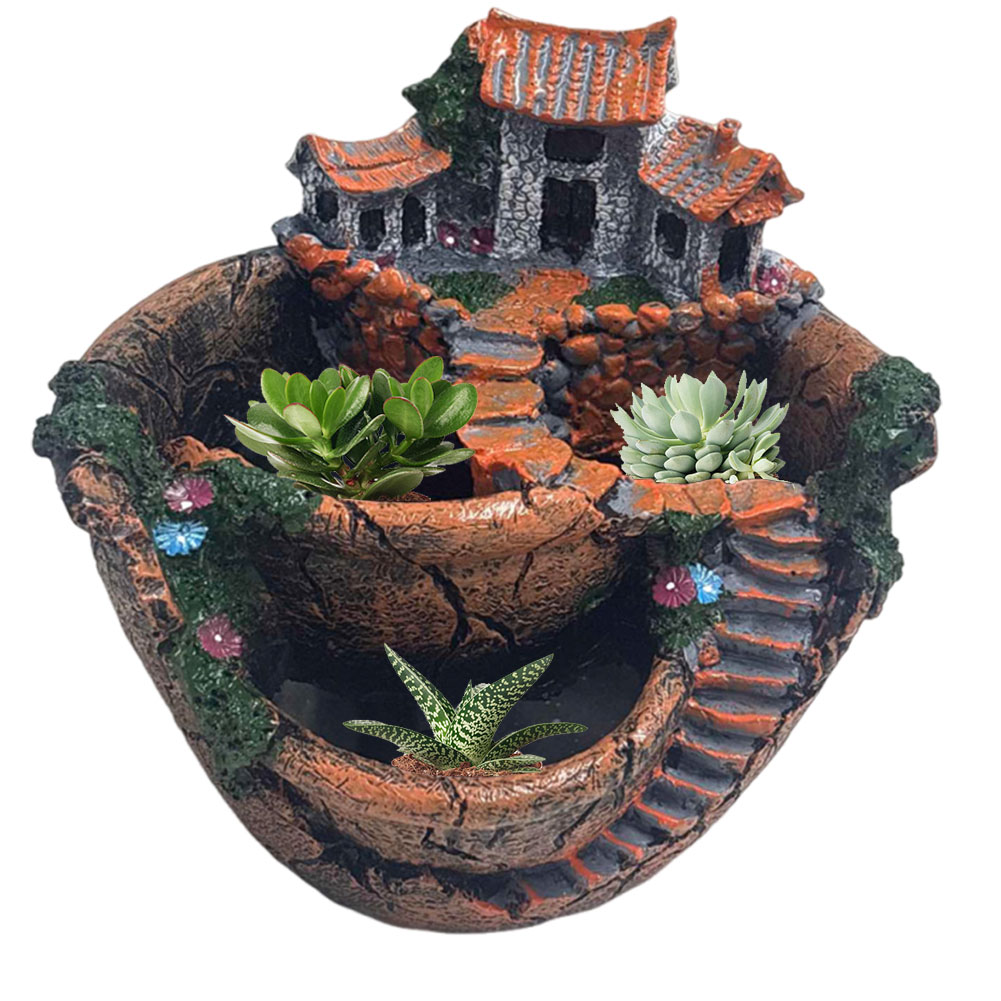 Maceta para Suculentas, Maceta - Cactus Mix Pot reseña y precio