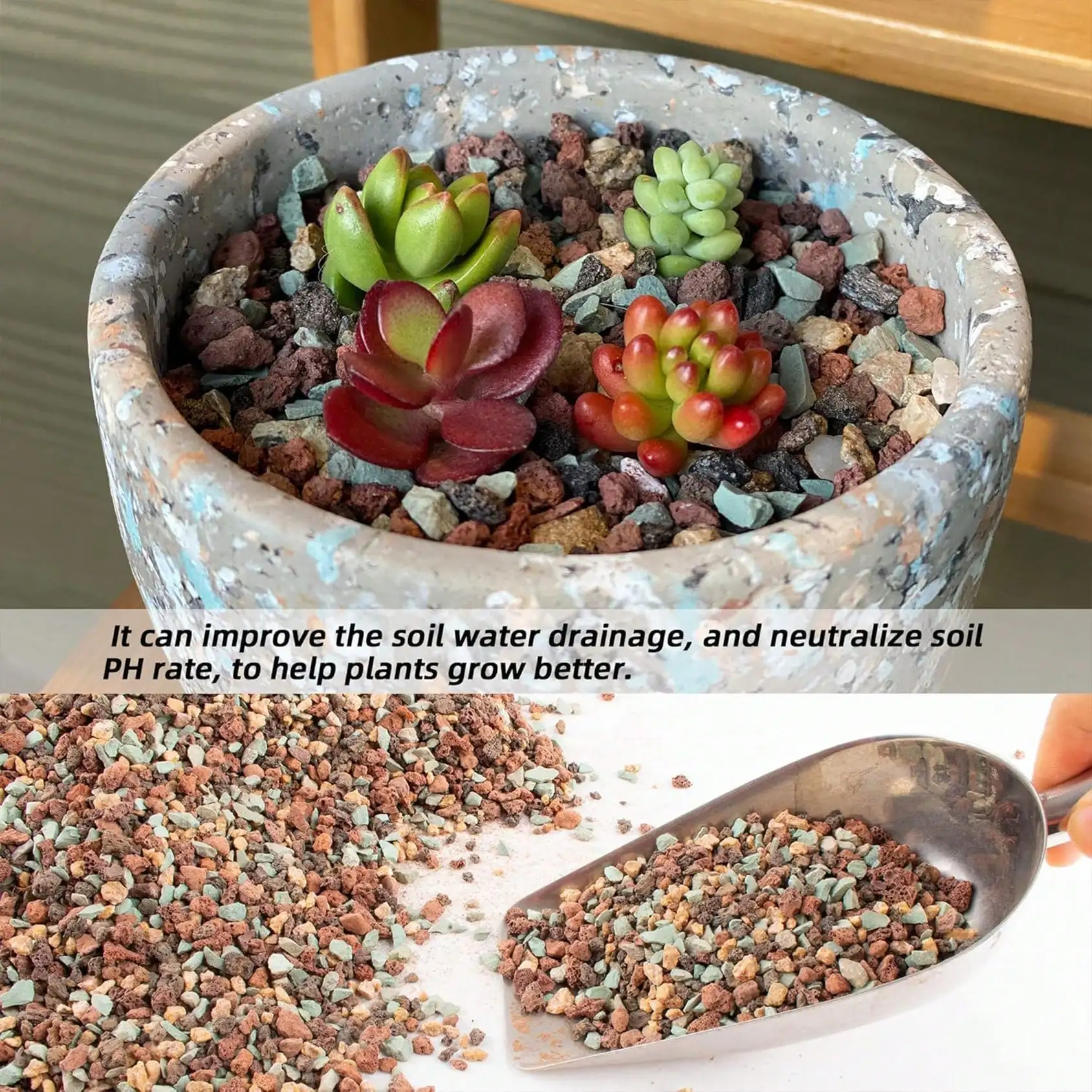 Mezcla de guijarros de roca de - Cactus Mix Pot reseña y precio