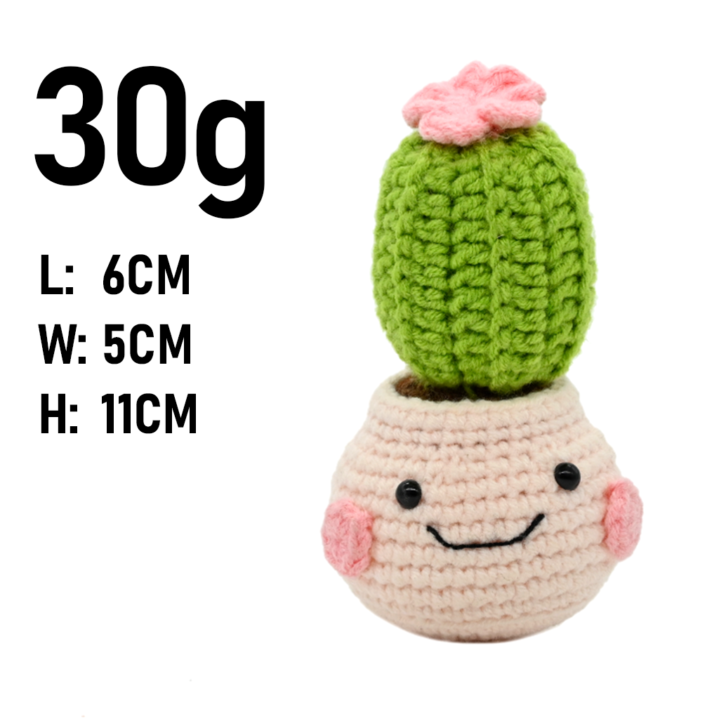 PlantSeries Cactus de Ganchill - Cactus Mix Pot reseña y precio